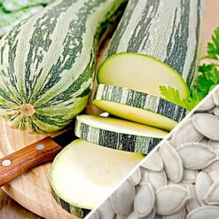 Squash (Summer) - Caserta 19 Squash (Summer) - Caserta -seedsnow Sales Store Squash Caserta seeds b3e518aa 45ca 4267 9302 fb00c757ac56