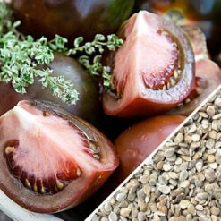 Tomato - Black Krim (Indeterminate) 11 Tomato - Black Krim (Indeterminate) -seedsnow Sales Store Tomato Black Krim seeds 8d806704 ddb9 4094 bb0f 7bbd375e4e4e