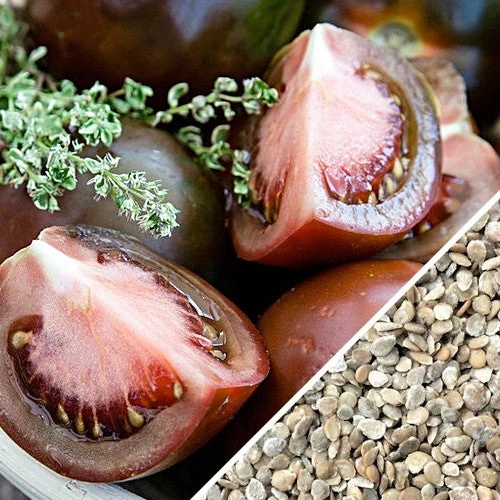 Tomato - Black Krim (Indeterminate) 5 Tomato - Black Krim (Indeterminate) - Image 3