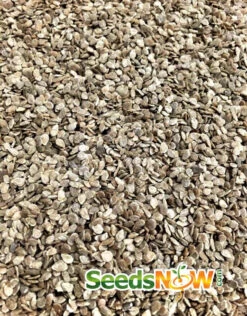 Tomato - Cherokee Purple (Indeterminate) -seedsnow Sales Store Tomato Cherokee Purple seeds 2