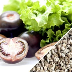 Tomato - Cherry, Black (Indeterminate) -seedsnow Sales Store Tomato Cherry Black seeds now