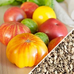 Tomato - Heritage Rainbow Mix (Indeterminate) -seedsnow Sales Store Tomato Heritage Rainbow Mix seeds now