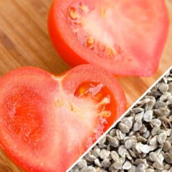 Tomato - Oxheart, Pink (Indeterminate) -seedsnow Sales Store Tomato Oxheart Pink seeds