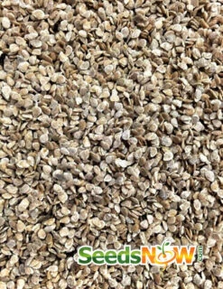 Tomato - Oxheart, Pink (Indeterminate) -seedsnow Sales Store Tomato Oxheart Pink seeds 2