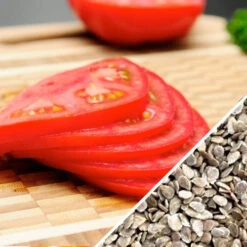 Tomato - VR Moscow (Determinate) -seedsnow Sales Store Tomato VR Moscow seeds now