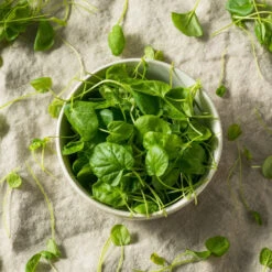 Watercress