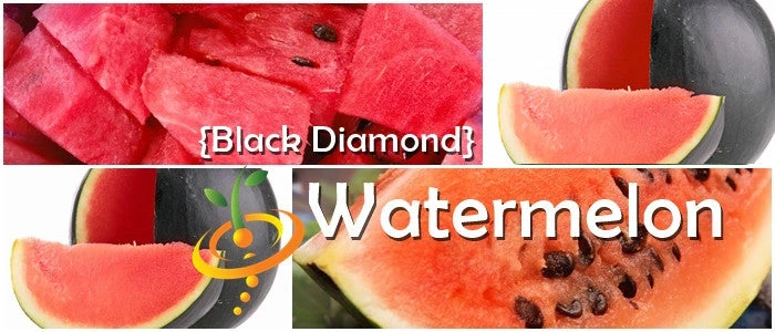 Watermelon - Black Diamond 6 Watermelon - Black Diamond - Image 4