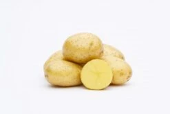 Potato (Early-Season) - Albertine