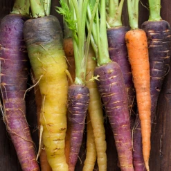 Carrot - Heritage Rainbow Blend