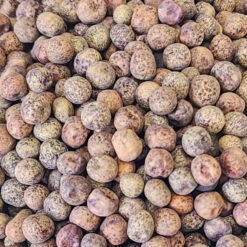 Sprouts/Microgreens - Pea, Brown Speckled