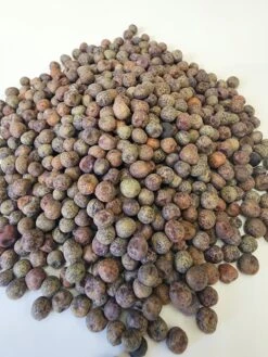 Sprouts/Microgreens - Pea, Brown Speckled -seedsnow Sales Store bsp3