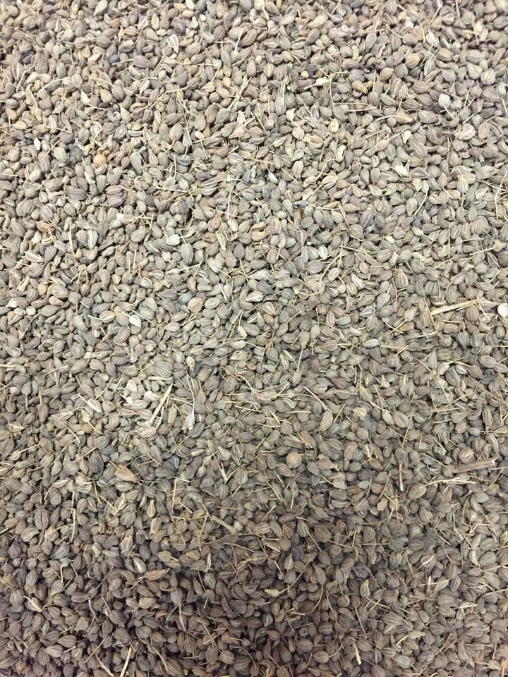 Anise (Aniseed) 8 Anise (Aniseed) - Image 6