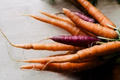 Carrot - Heritage Rainbow Blend -seedsnow Sales Store carrots 2595196 1280