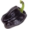 Pepper (Sweet) - Chocolate Bell -seedsnow Sales Store chocolate bell pepper seeds