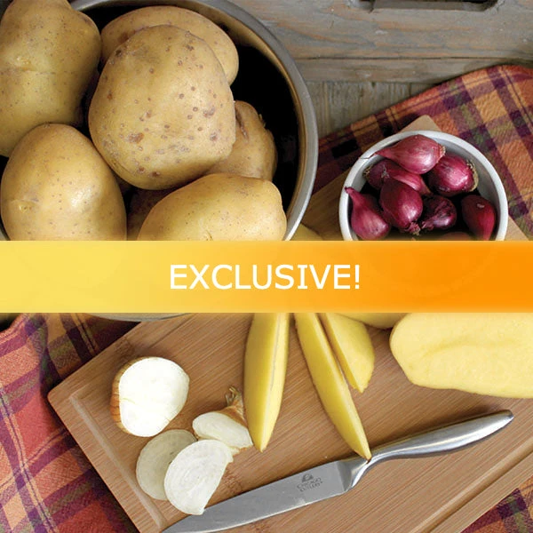 Potato (Early-Season) - Elfie (Organic/Heirloom) 3 Potato (Early-Season) - Elfie (Organic/Heirloom)