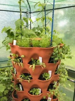 All-in-One Tower Garden Variety Pack -seedsnow Sales Store image1 9