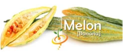 Melon - Banana -seedsnow Sales Store page 25fd7475 2ccc 4675 aaf1 00210b8e6a92