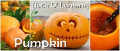 Pumpkin - Jack O' Lantern -seedsnow Sales Store page 31dfac88 54e9 42a5 9d1c 39aaa203e05d