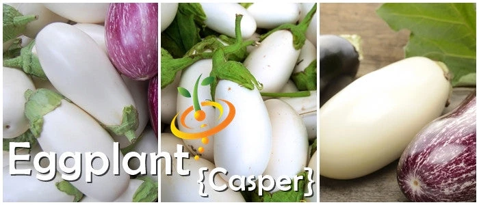 Eggplant - Casper 8 Eggplant - Casper - Image 6