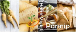Parsnip - Harris Model -seedsnow Sales Store page 79a99c83 e3b1 4d47 87d1 288ddb71ce73