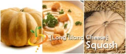 Squash (Winter) - Long Island Cheese -seedsnow Sales Store page 822ba149 2795 40a5 bab6 8ffef6cd75e2