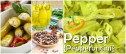 Pepper (Hot) - Pepperoncini 🔥 -seedsnow Sales Store page 8c22b5a9 ddbe 400a 86c3 a8aee41811e8