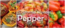 Pepper (Sweet) - California Wonder -seedsnow Sales Store page 9262c3fe 9954 440a ba62 462c30200bed