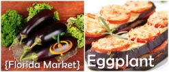 Eggplant - Florida Market -seedsnow Sales Store page a1a4edef 37b0 46c5 a5e5 a7afbdc0c47b