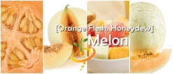 Melon (Honeydew)- Orange Flesh -seedsnow Sales Store page a80ff77b 5269 4890 8a37 854fbff1e781