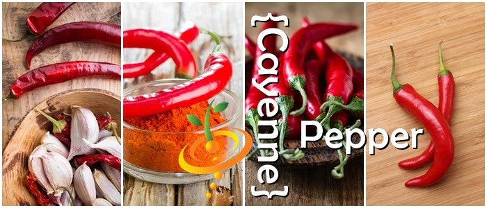 Pepper (Hot) - Cayenne, Red 🔥🔥🔥 10 Pepper (Hot) - Cayenne, Red 🔥🔥🔥 - Image 8