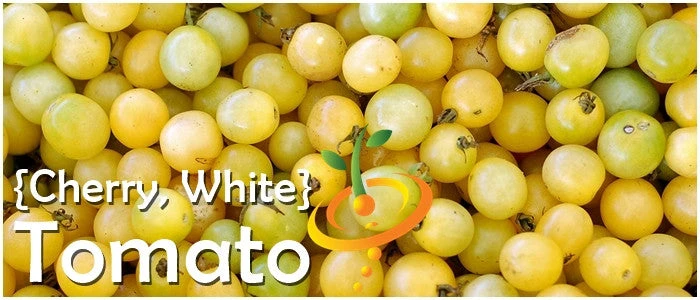 Tomato - Cherry, White (Indeterminate) 5 Tomato - Cherry, White (Indeterminate) - Image 3
