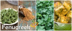 Fenugreek -seedsnow Sales Store page df064021 7d6d 4243 97e0 f57edbd5094c