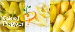 Pepper (Hot) - Jalapeño, Yellow (Caloro) 🔥 -seedsnow Sales Store page ff85e9f4 1f57 4c58 83b0 d66dd079420d