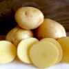 Potato (Late-Season) - Jelly -seedsnow Sales Store product 64922 1559409617 OLM100MT