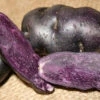 Potato, Fingerling (Late-Season) - Peruvian Purple Magic