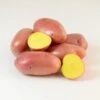 Potato (Late-Season) - Ramona -seedsnow Sales Store ramonapotato