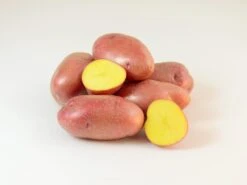 Potato (Late-Season) - Ramona