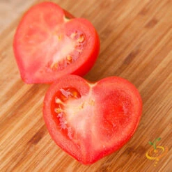 Tomato - Oxheart, Pink (Indeterminate) -seedsnow Sales Store shutterstock 100859758