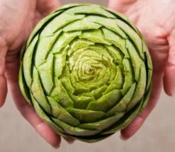 Artichoke - Green Globe -seedsnow Sales Store shutterstock 127312439