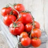 Tomato - Money Maker (Indeterminate) -seedsnow Sales Store shutterstock 136928345 700x ad2682c5 2e0d 4561 bf41 f94517e24d9a