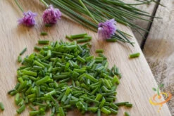 Chives -seedsnow Sales Store shutterstock 146220857 644ebe74 00f6 41d3 aa59 5f817495766f