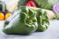 All-in-One Salsa Garden Variety Pack -seedsnow Sales Store shutterstock 150114665