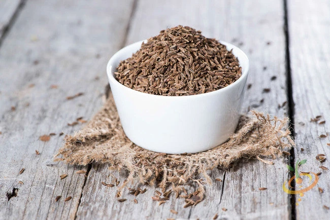 Caraway 4 Caraway - Image 2