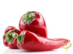 Pepper (Hot) - Thai 🔥🔥🔥 -seedsnow Sales Store shutterstock 157971926