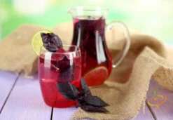 Basil, Red Velvet Leaf -seedsnow Sales Store shutterstock 161097386