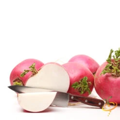 Radish - Beauty, Pink -seedsnow Sales Store shutterstock 167451914