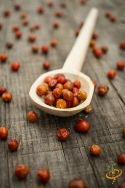 Pepper (Hot) - Tepin 🔥🔥🔥 -seedsnow Sales Store shutterstock 171508061