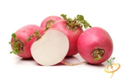 Radish - Beauty, Pink -seedsnow Sales Store shutterstock 175602788