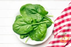 Spinach - Matador Viking -seedsnow Sales Store shutterstock 192560558