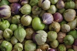 All-in-One Salsa Garden Variety Pack -seedsnow Sales Store shutterstock 209243200